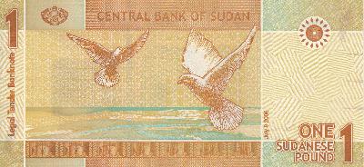 Beschrijving achterzijde: BIRDS